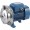 Pedrollo Centrifugal Stainless Steel Water Pump 2,853 GPH 1 HP 115 Volts # AL- RED 135m