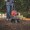 Troy-Bilt 2-Cycle, Forward Tine Rotation Garden Cultivator — 6in.-9in. Working Width, Model# TB225