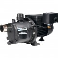 BurCam Shallow Jet Pump - 3/4 HP, 850 GPH, Model# 506221P